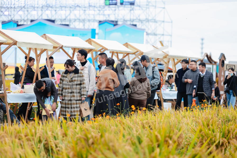 2025浙江丰收月活动