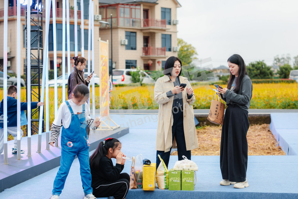 2025浙江丰收月活动