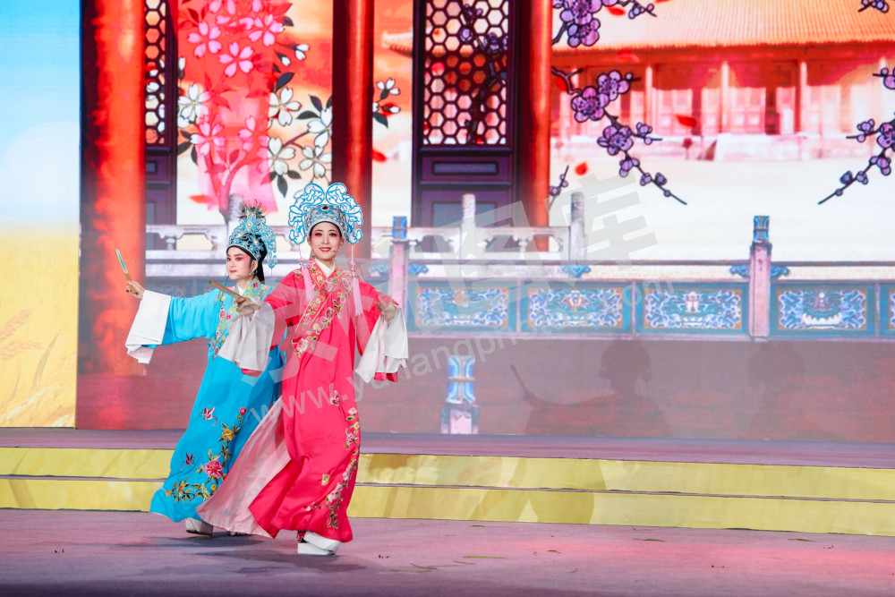 2025浙江丰收月活动