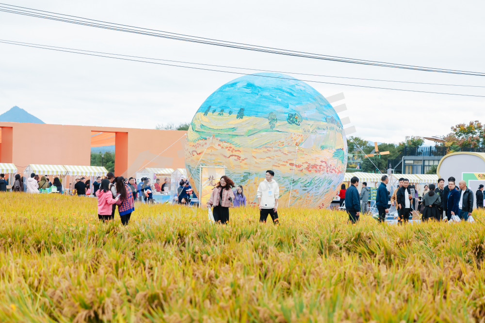 2025浙江丰收月活动