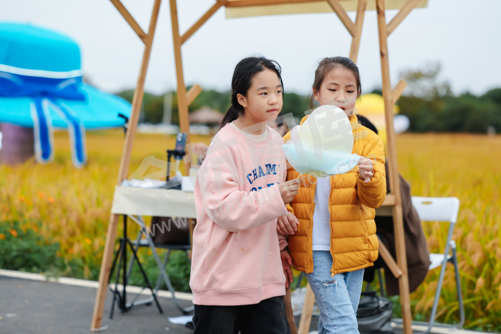 2025浙江丰收月活动