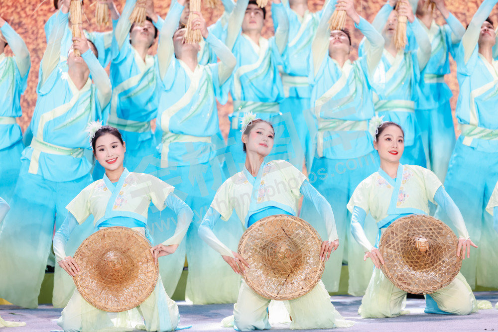 2025浙江丰收月活动