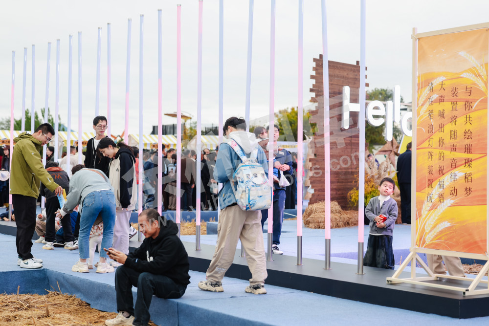 2025浙江丰收月活动