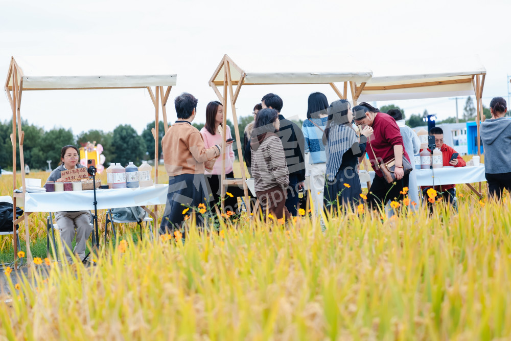 2025浙江丰收月活动