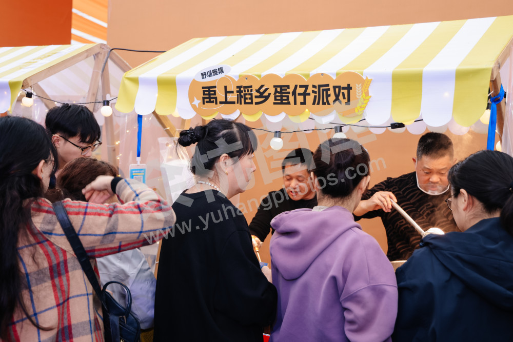 2025浙江丰收月活动