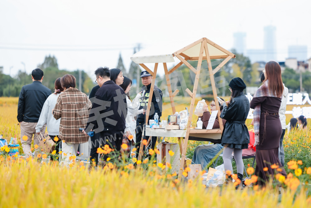 2025浙江丰收月活动