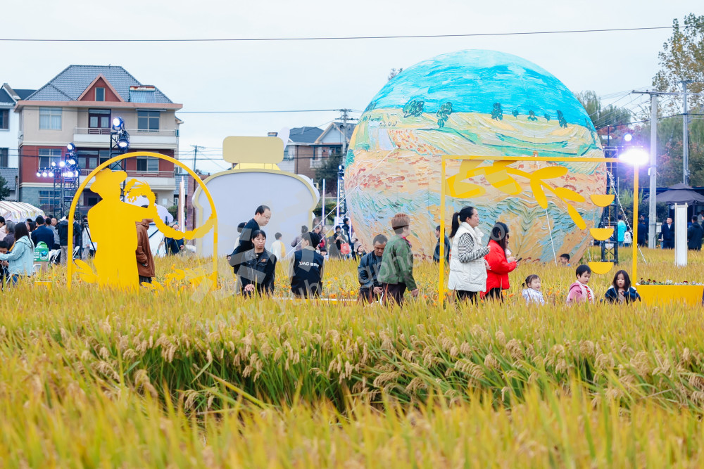 2025浙江丰收月活动