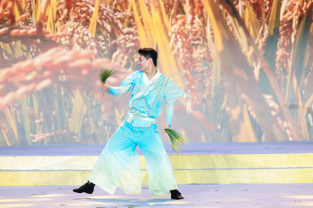 2025浙江丰收月活动