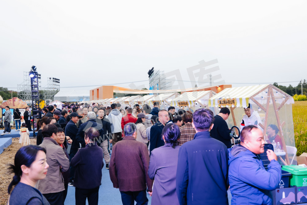 2025浙江丰收月活动