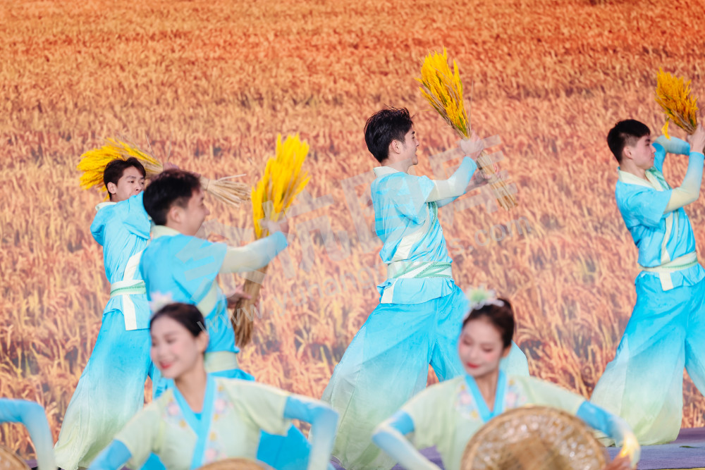 2025浙江丰收月活动