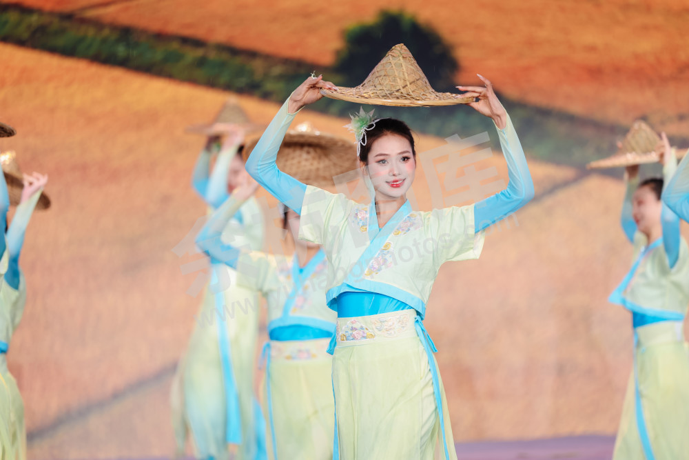 2025浙江丰收月活动