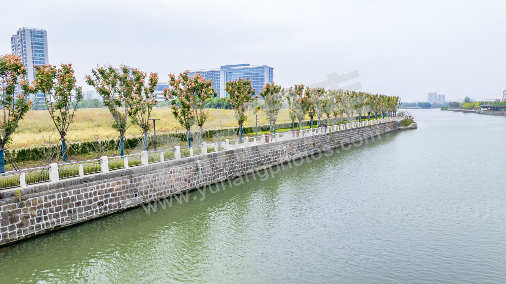 大运河文化艺术岛