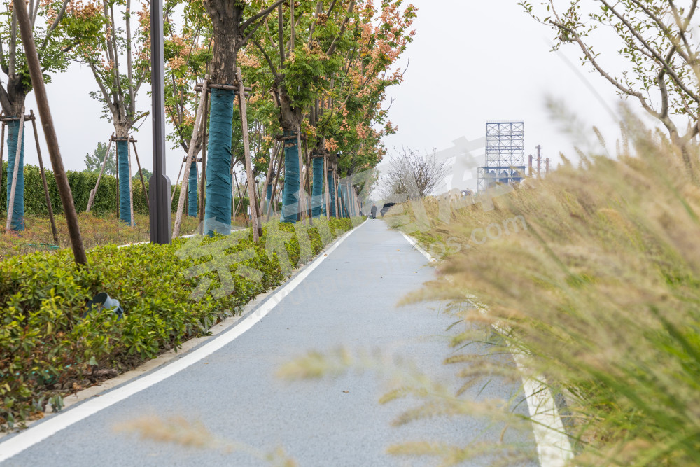 大运河文化艺术岛