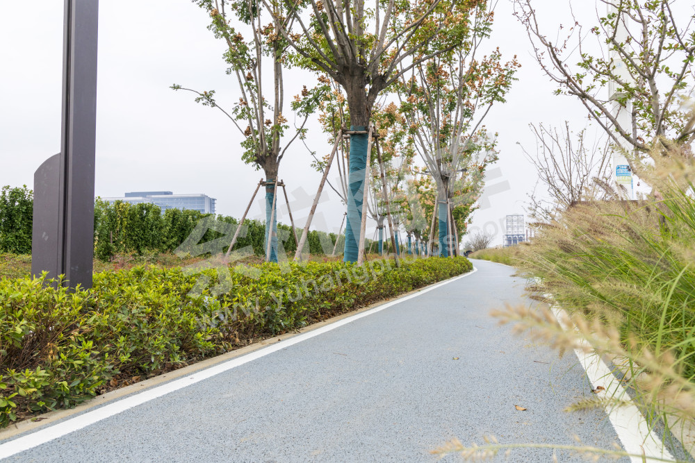 大运河文化艺术岛