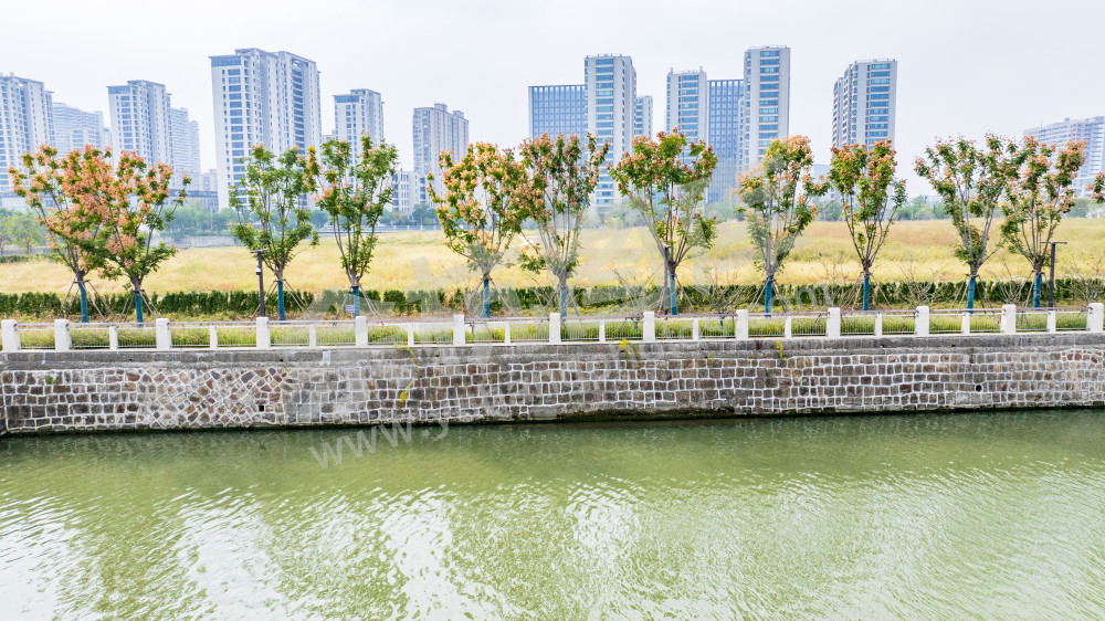 大运河文化艺术岛