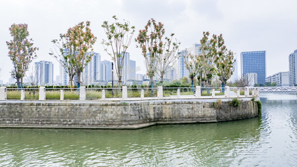 大运河文化艺术岛