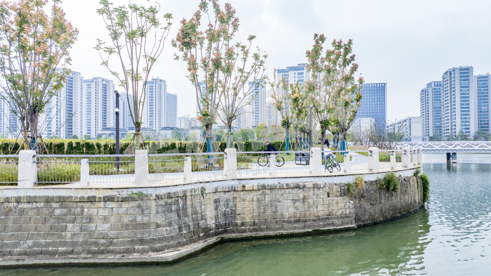 大运河文化艺术岛