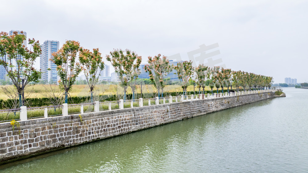 大运河文化艺术岛