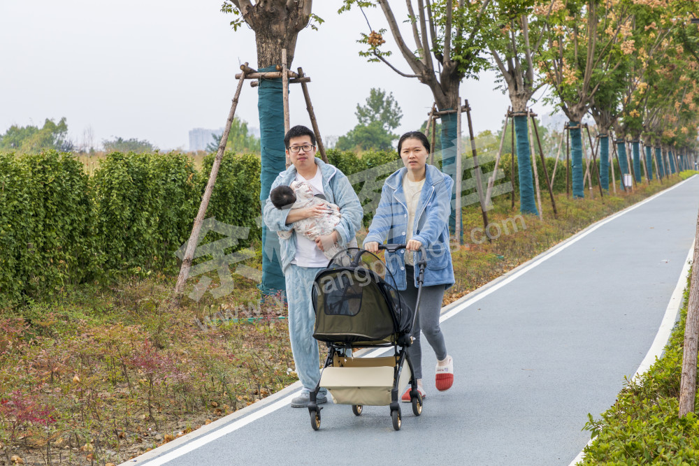 大运河文化艺术岛