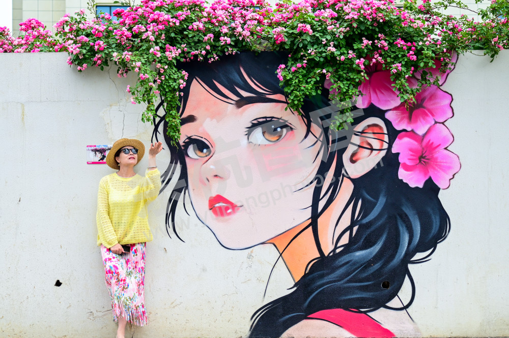 《月季少女花墙》