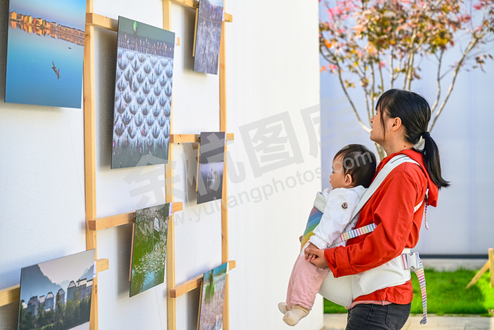 《苕北乡村美术馆》