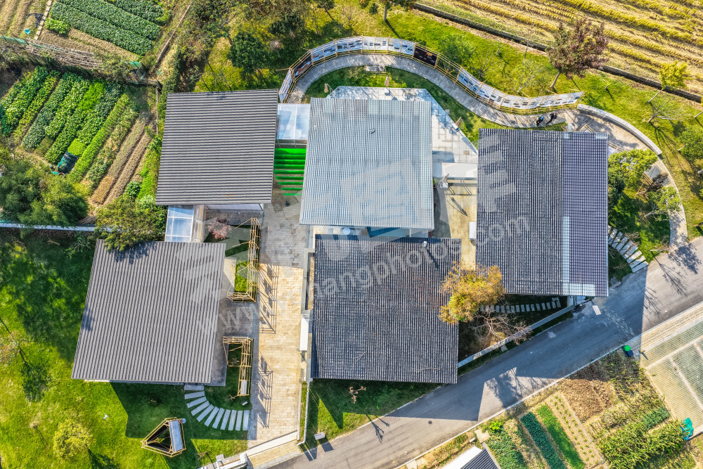 《苕北乡村美术馆》