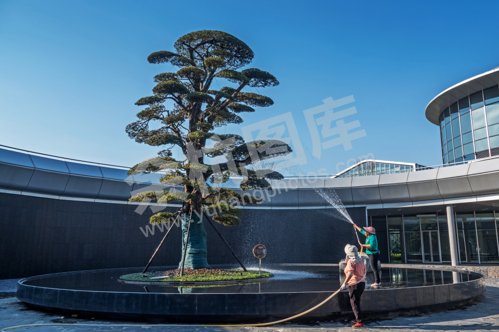 南湖科技园园丁