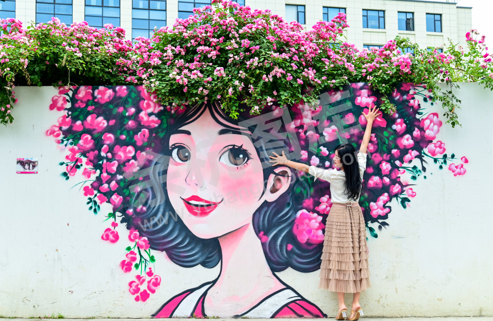 《月季少女花墙》