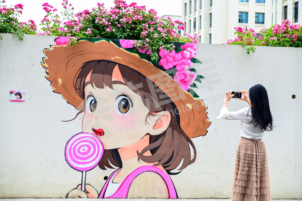 《月季少女花墙》