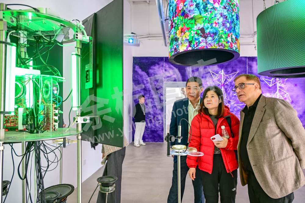 《苕北乡村美术馆》