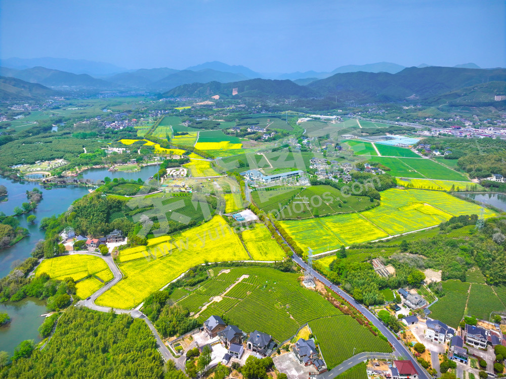 《大径山的春天》