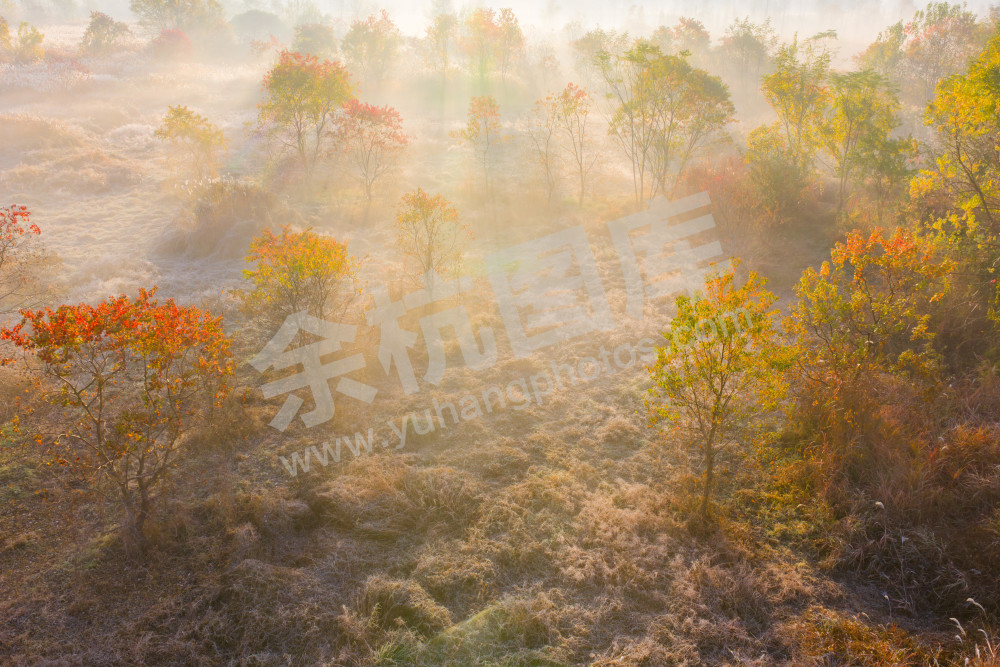 《北湖湿地雾渡秋光》