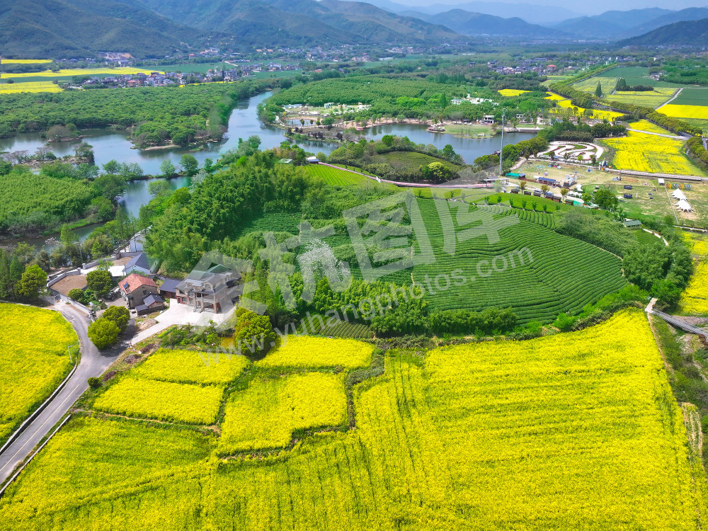 《大径山的春天》