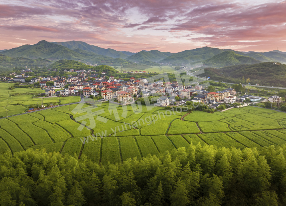 《晨染塘埠村》