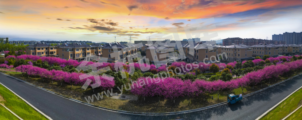 瓶窑农民别墅群