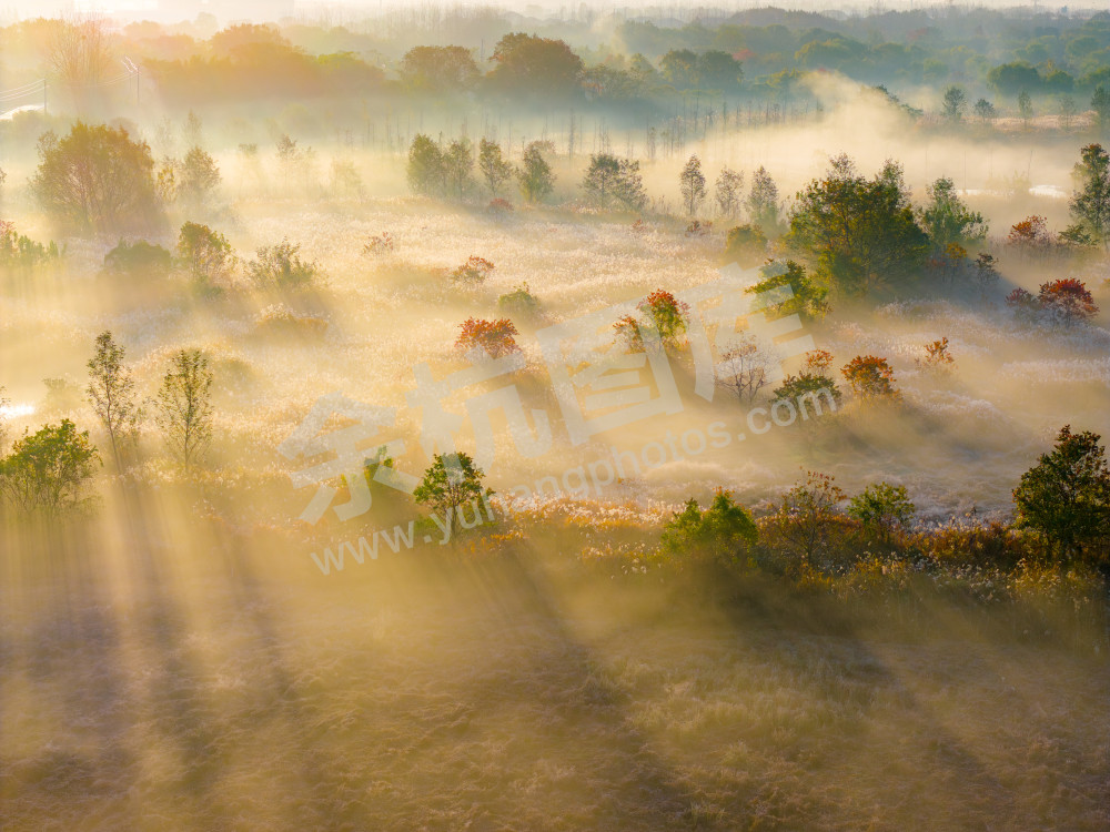 《北湖湿地雾渡秋光》