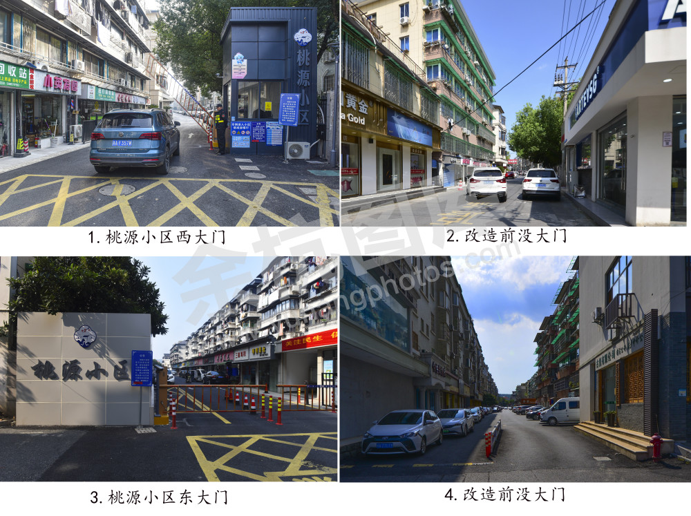 华丽蝶变&middot;向新而生