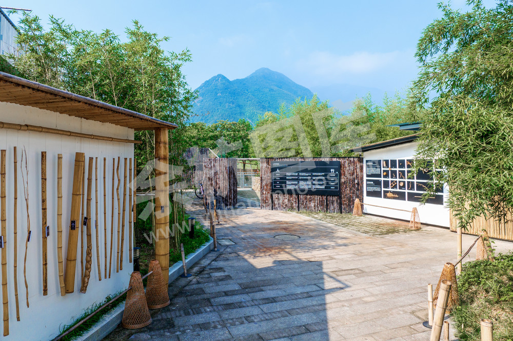 《竹海深处的&ldquo;村博热&rdquo;》