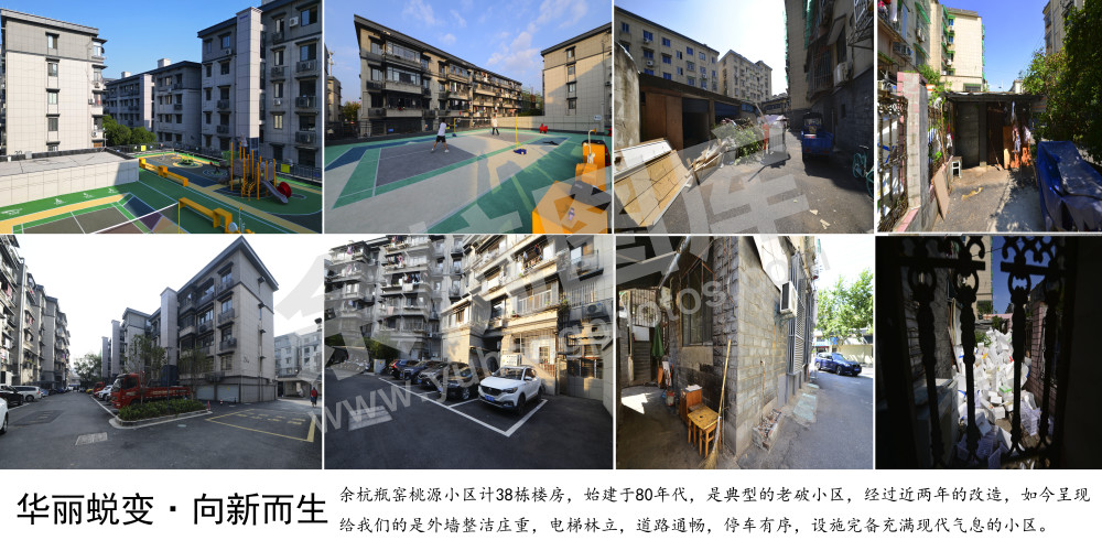 华丽蝶变&middot;向新而生