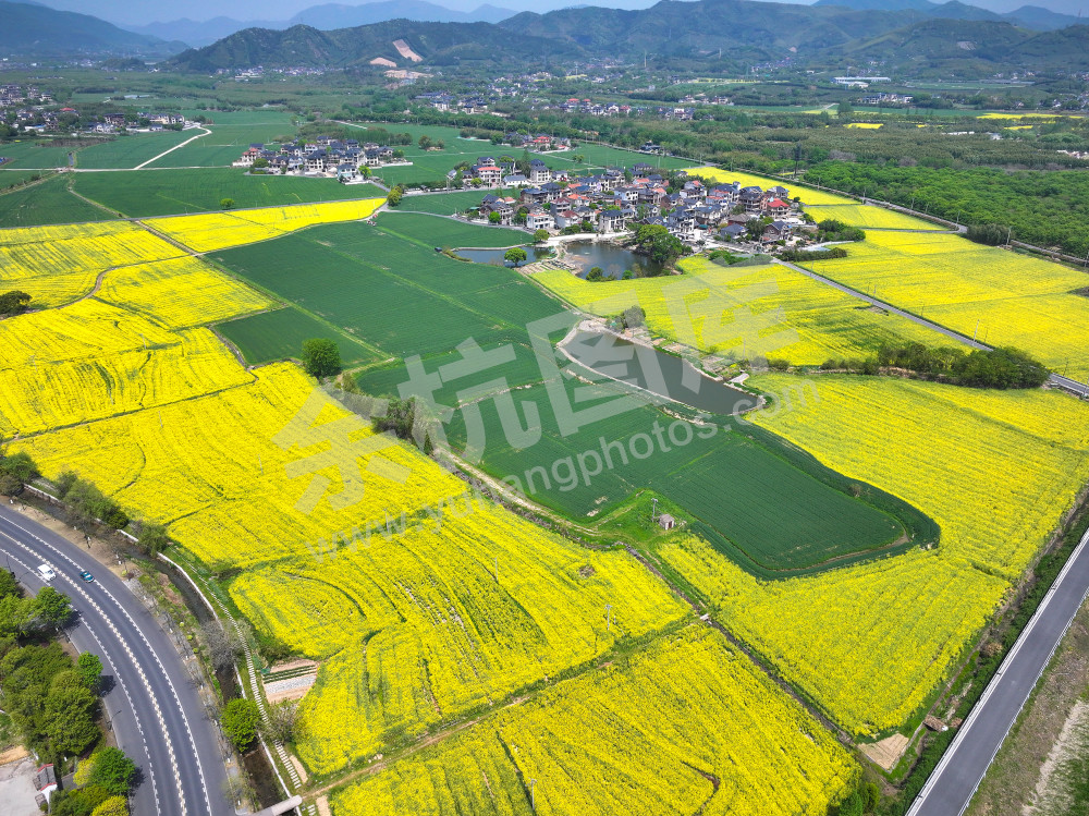 《大径山的春天》