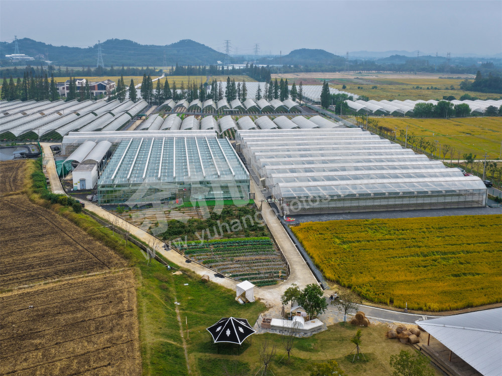 《彭公数字农场》