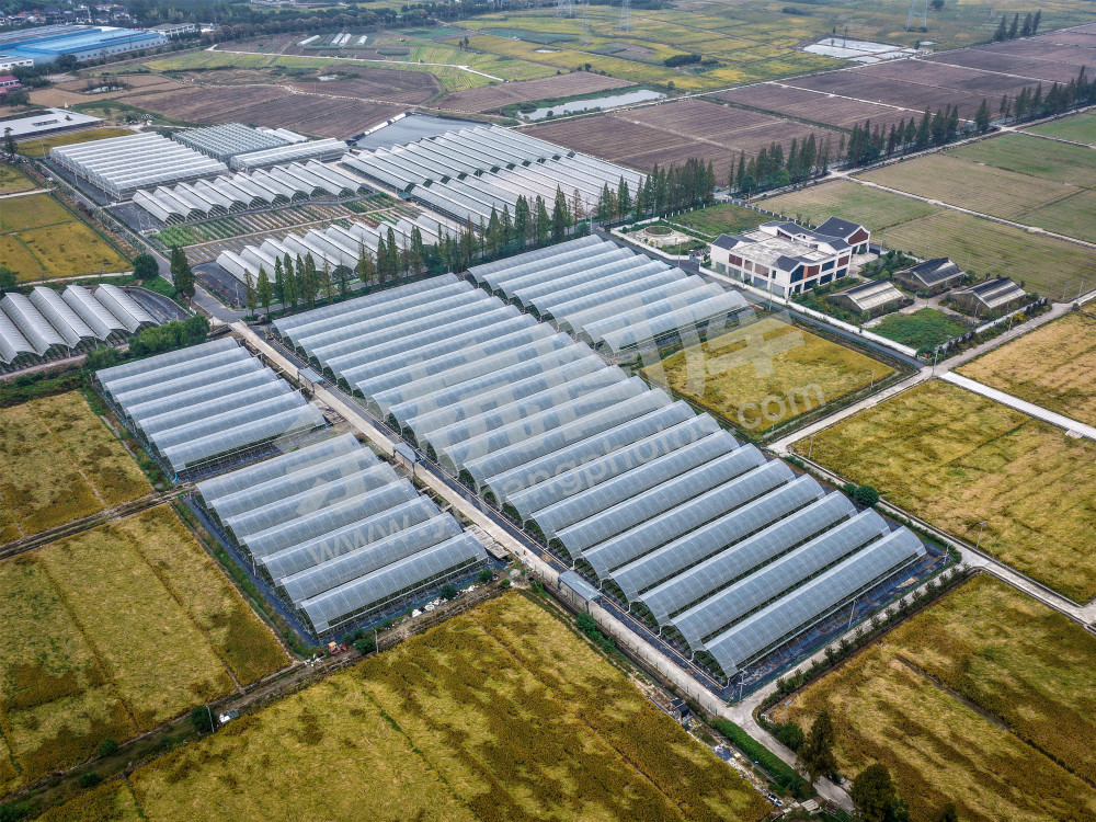 《彭公数字农场》