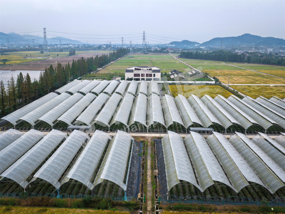 《彭公数字农场》