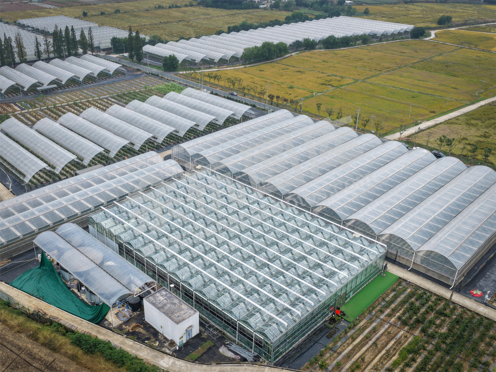 《彭公数字农场》