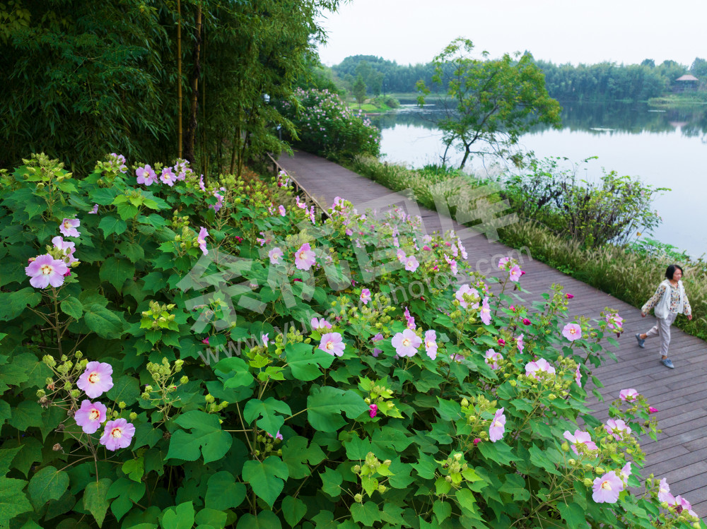 《镜潭湖湿地公园》