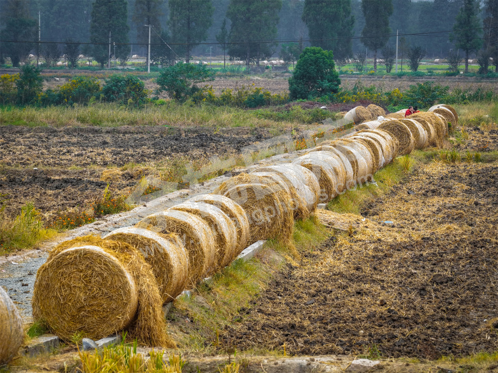 《彭公数字农场》