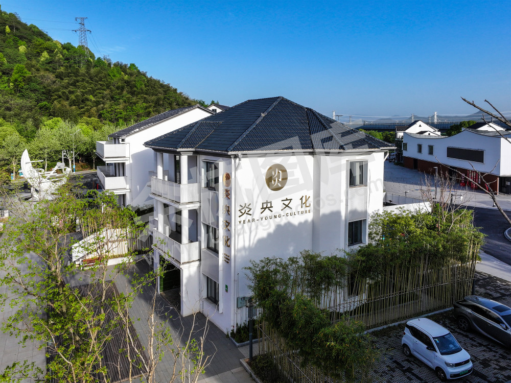 《中泰&middot;跳头文艺集镇》