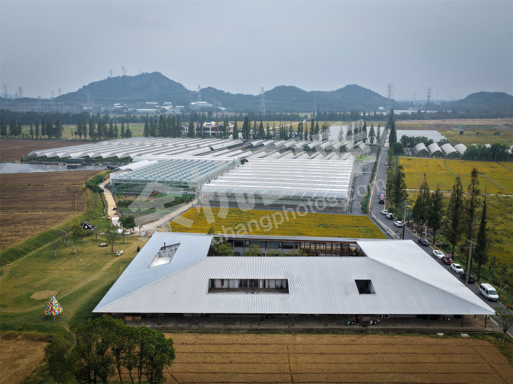 《彭公数字农场》