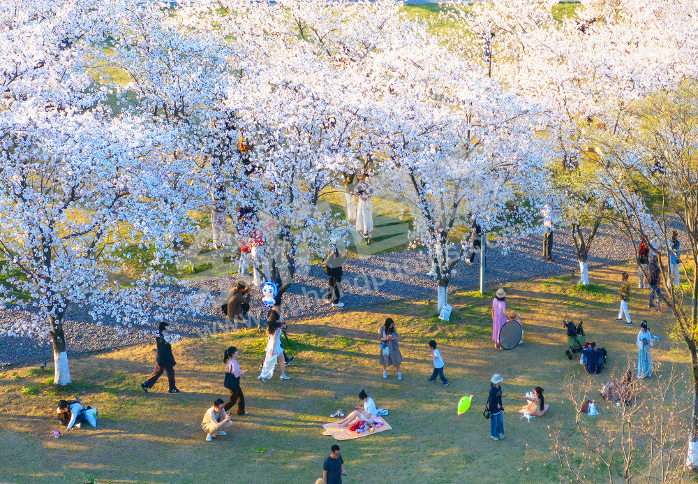 《闲适玉鸟集》