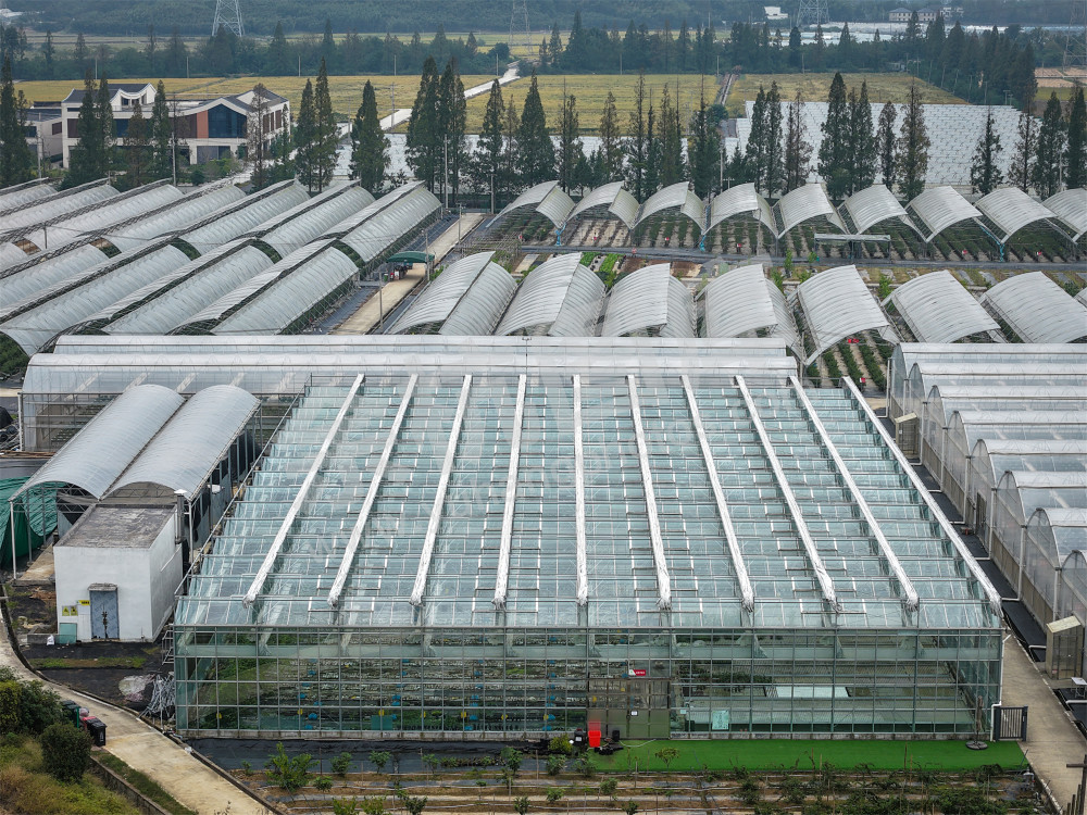 《彭公数字农场》